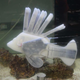 The soft robotic lionfish. The dark areas show the synthetic circulatory system.